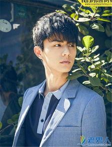 刘畅个人资料简介,才华横溢的影视新星，多面发展的全能艺人