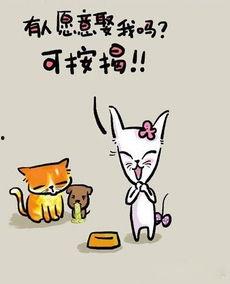 搞笑人生哲学,揭秘生活的幽默哲学